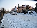 Třibřichy